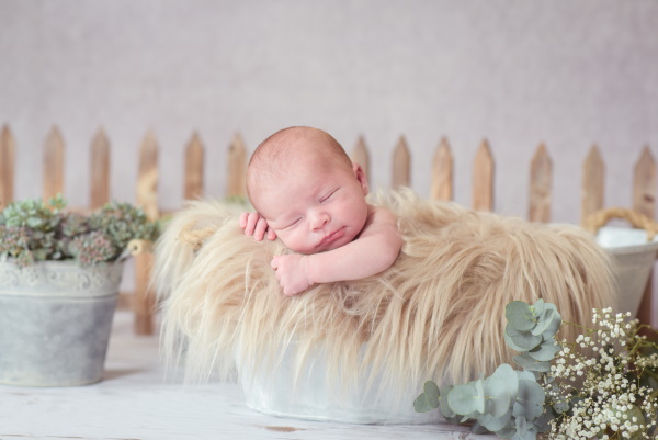 image/newborn