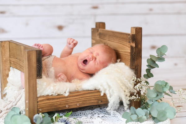 image/newborn
